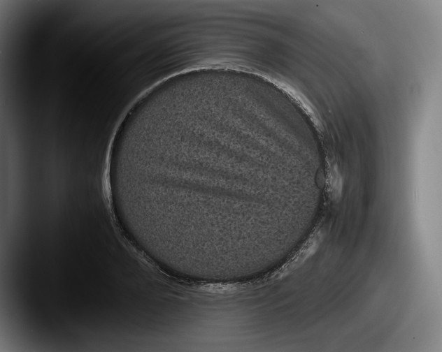 X0000087580888200705181159