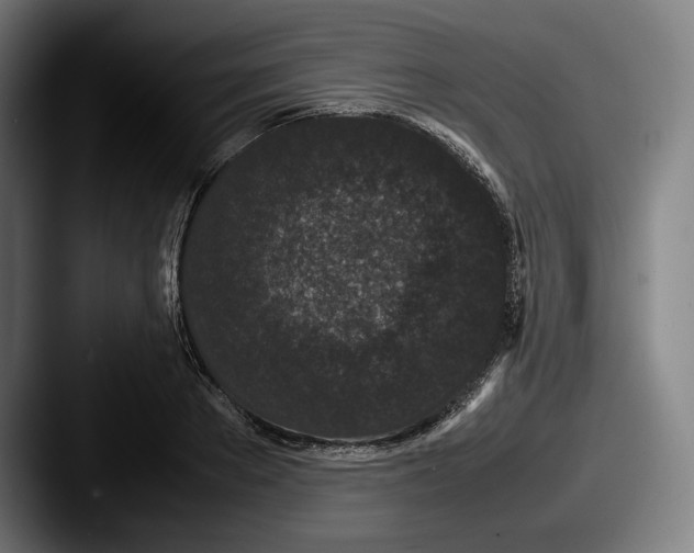 X0000087580889200705181159