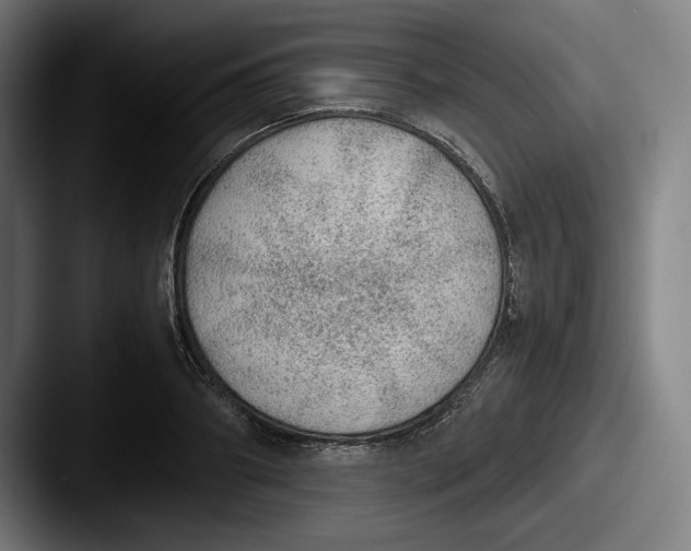 X0000087580890200705181159