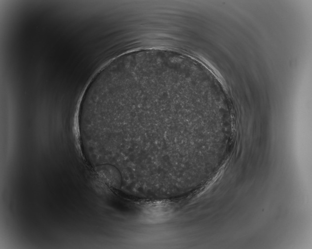 X0000087580891200705181159