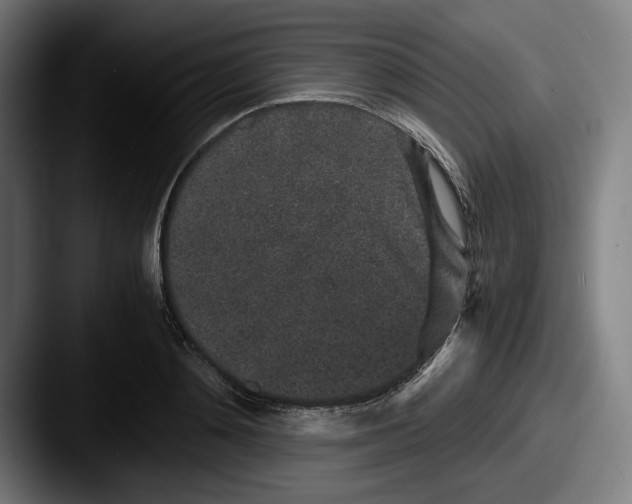 X0000087580892200705181159