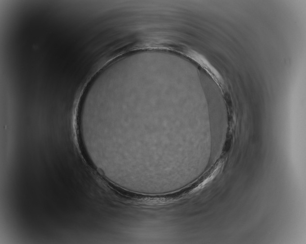 X0000087580893200705181159
