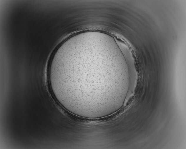 X0000087580894200705181159