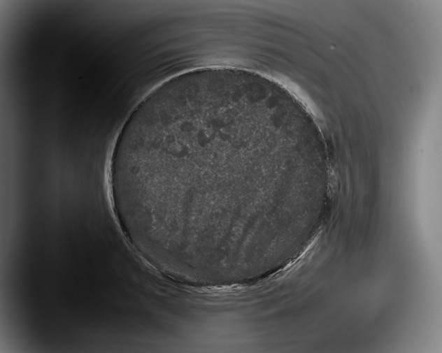 X0000087580895200705181159