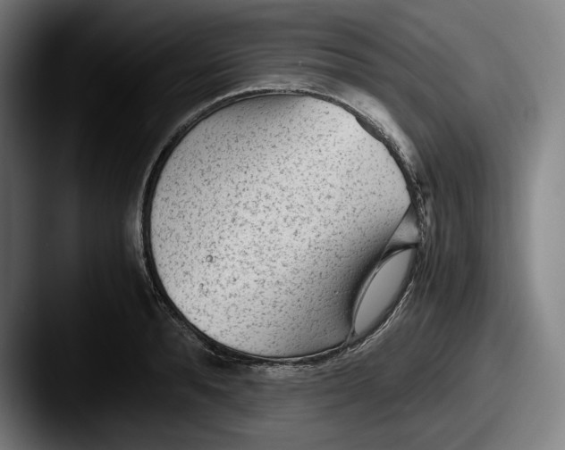 X0000087580896200705181159
