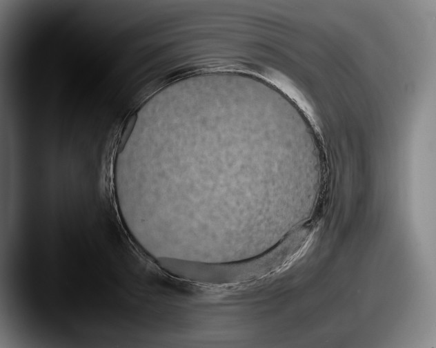 X0000087580897200705181159