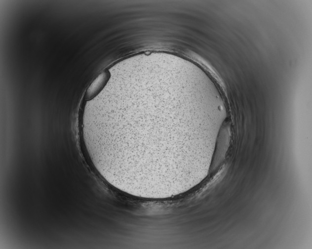 X0000087580898200705181159