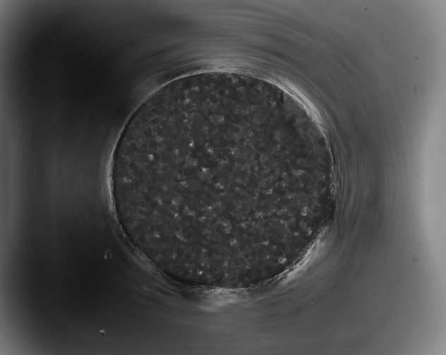 X0000087580899200705181159