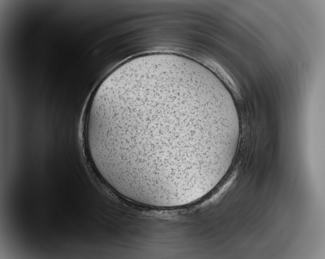 X0000087580900200705181159