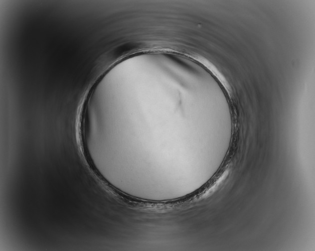 X0000087580901200705181159