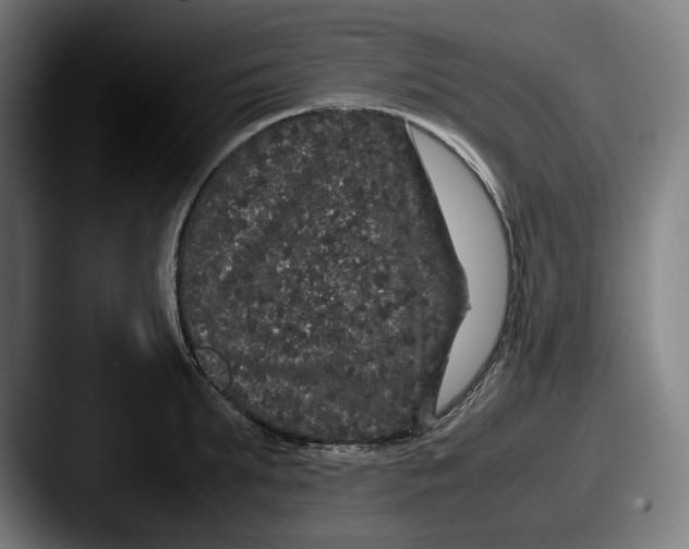X0000087580903200705181159