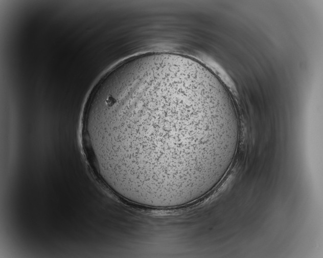 X0000087580904200705181159