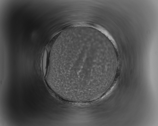X0000087580905200705181159