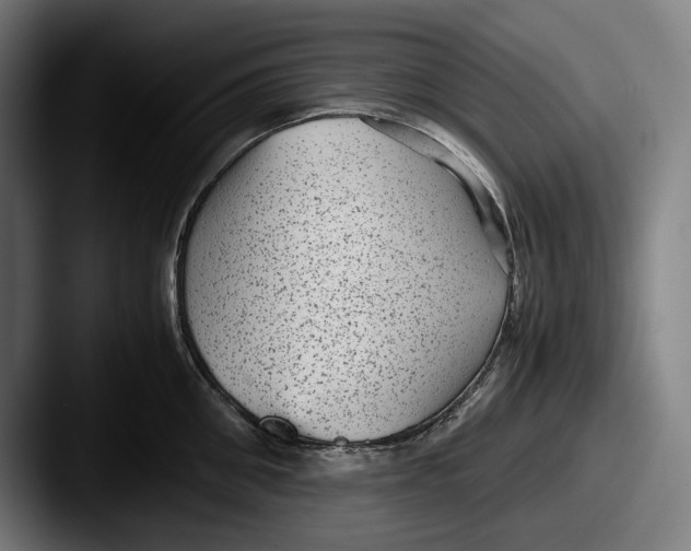 X0000087580906200705181159