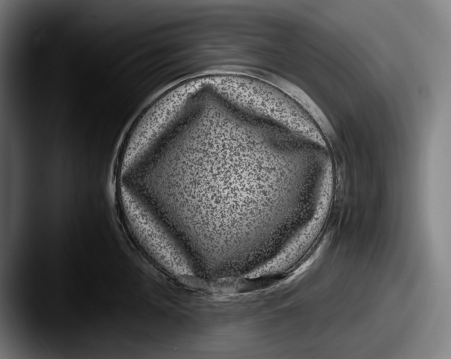 X0000087580908200705181159