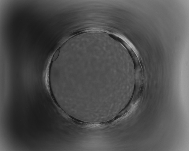 X0000087580909200705181159
