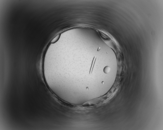 X0000087580910200705181159