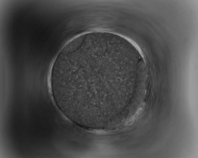 X0000087580911200705181159