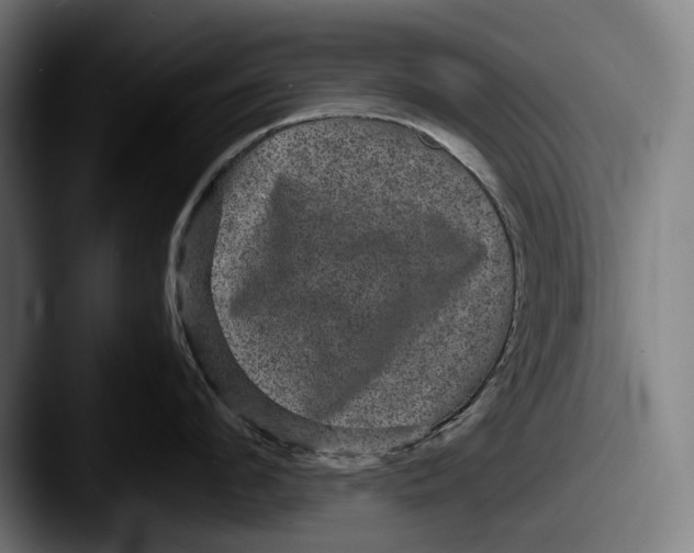 X0000087580912200705181159