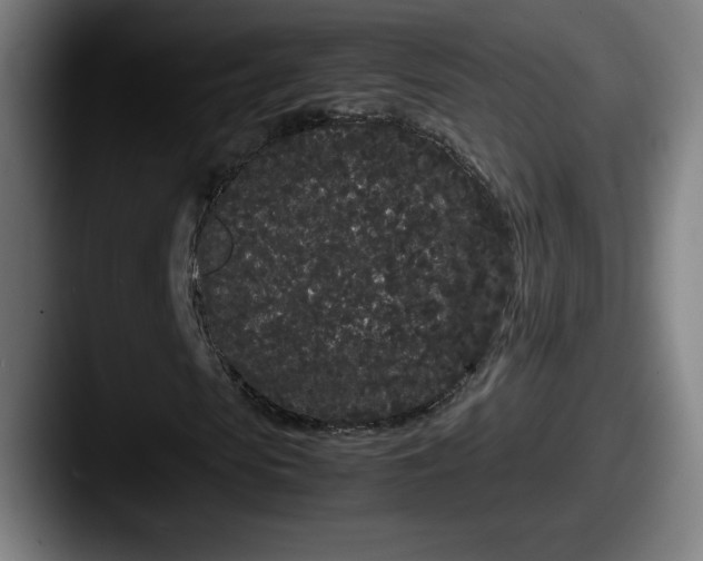 X0000087580913200705181158
