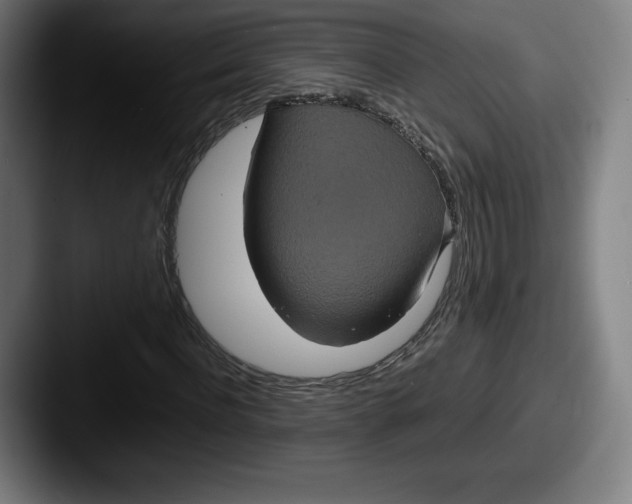 X0000087580916200705181158
