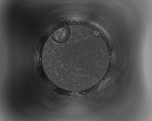 X0000087580918200705181158