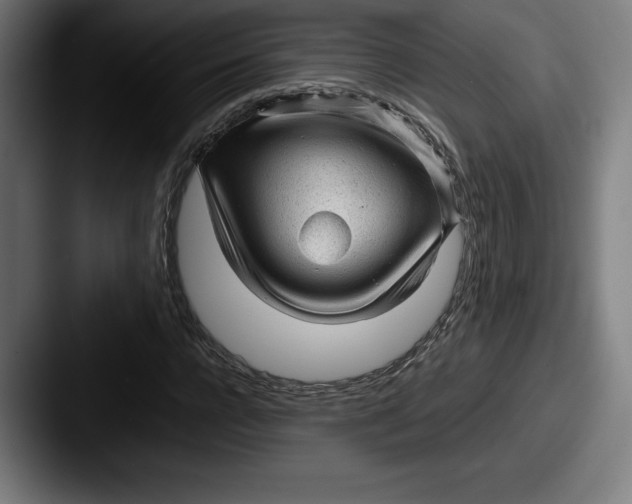 X0000087580920200705181158