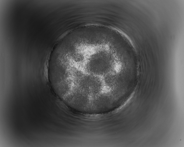 X0000087580921200705181158
