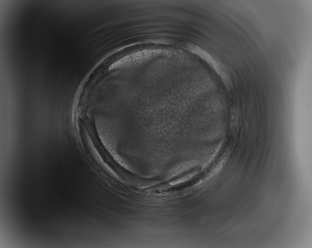 X0000087580923200705181158