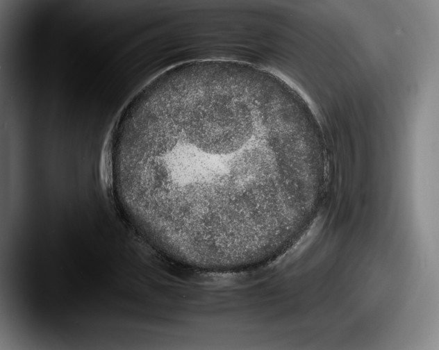 X0000087580925200705181158