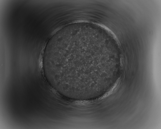 X0000087580929200705181158