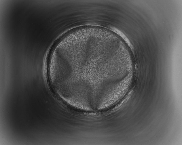 X0000087580931200705181158