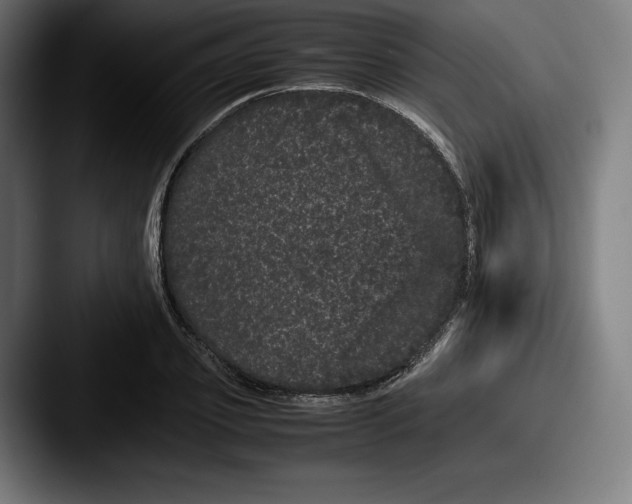 X0000087580933200705181158