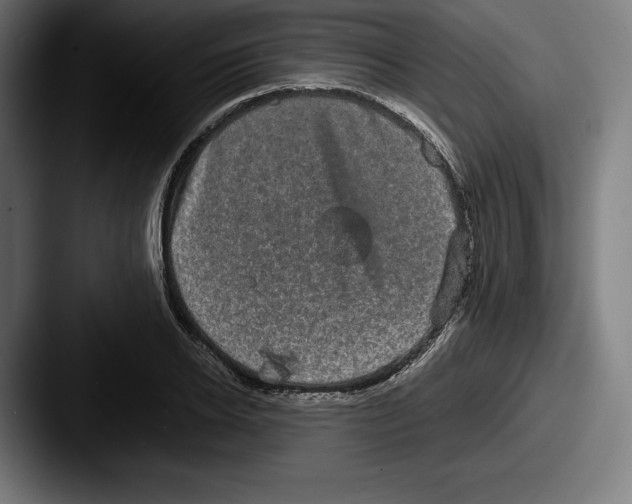 X0000087580934200705181158