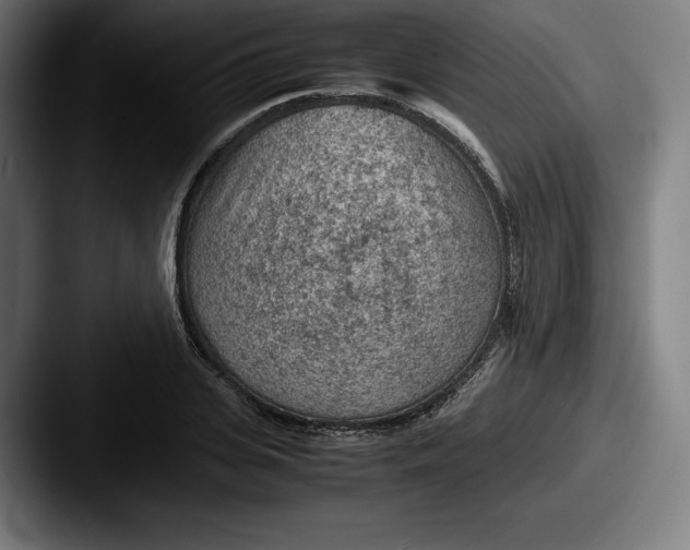 X0000087580935200705181158