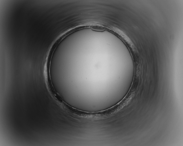 X0000087580936200705181158