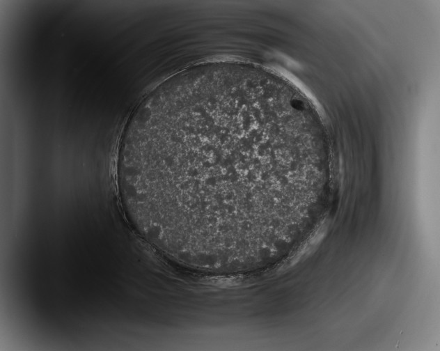 X0000087580937200705181158