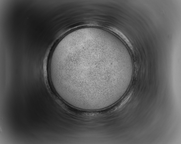 X0000087580939200705181158