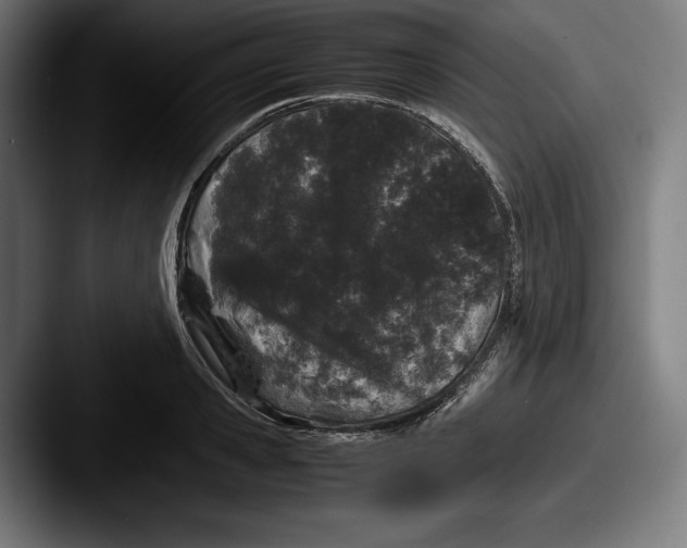 X0000087580941200705181158