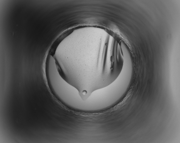 X0000087580942200705181158