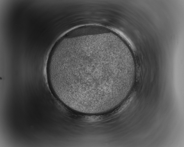 X0000087580943200705181158