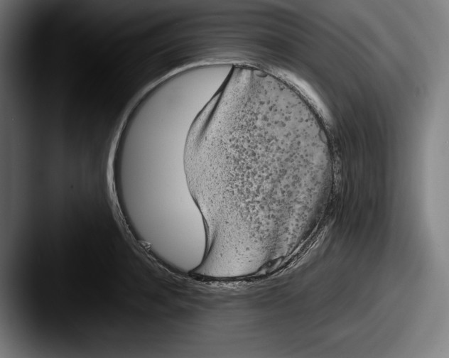 X0000087580944200705181158