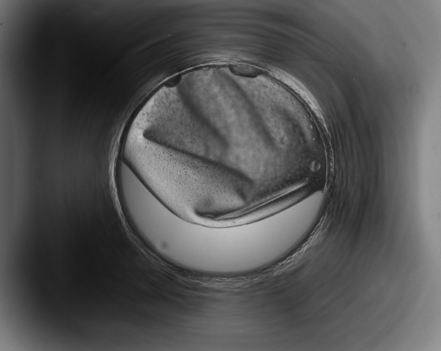 X0000087580946200705181158