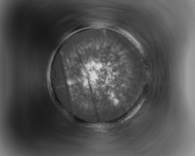 X0000087580948200705181158