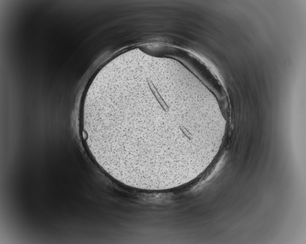 X0000087580949200705181158