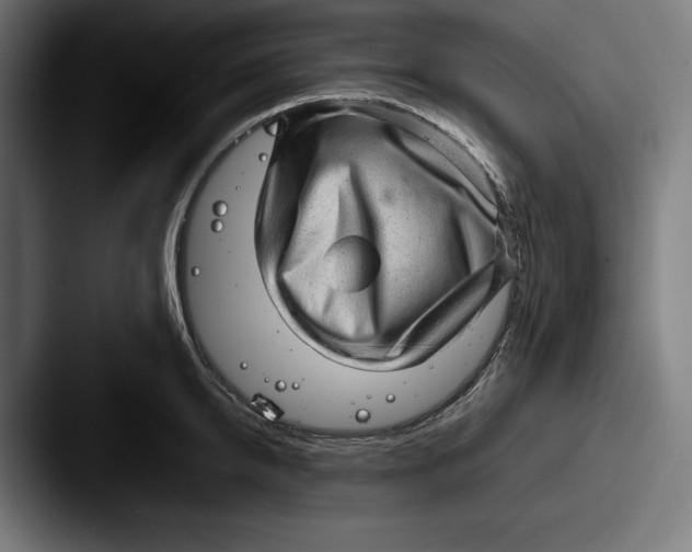 X0000087580950200705181158