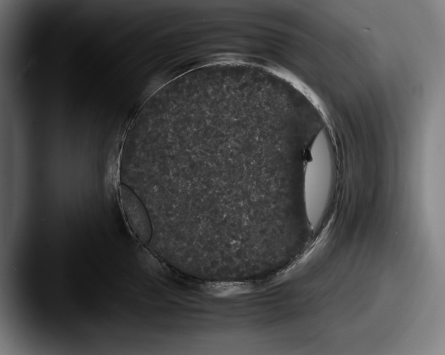 X0000087580953200705181158
