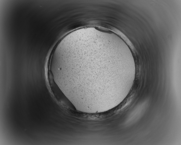X0000087580955200705181158