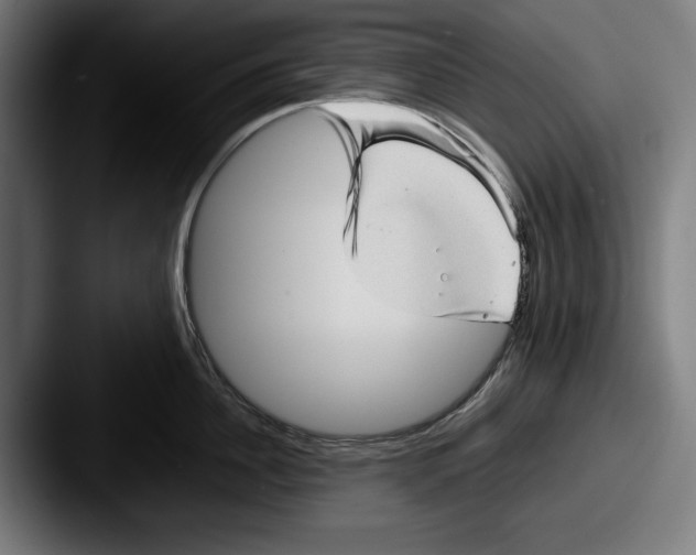 X0000087580956200705181158