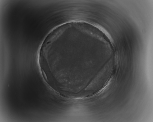 X0000087580958200705181159